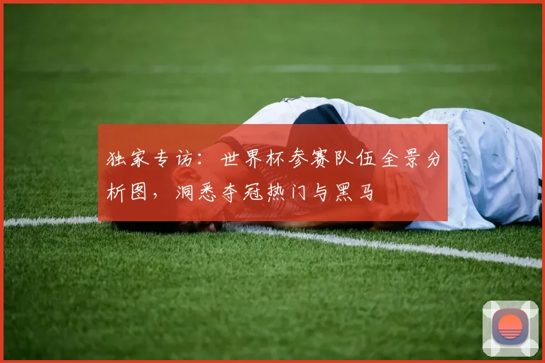 独家专访：世界杯参赛队伍全景分析图，洞悉夺冠热门与黑马