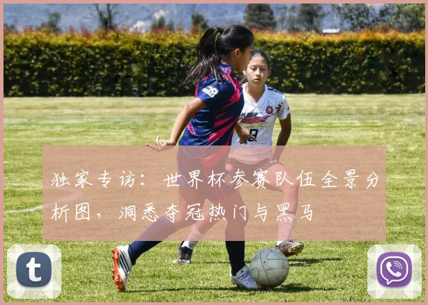 独家专访：世界杯参赛队伍全景分析图，洞悉夺冠热门与黑马