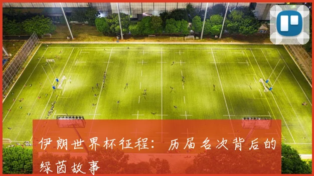 伊朗世界杯征程：历届名次背后的绿茵故事