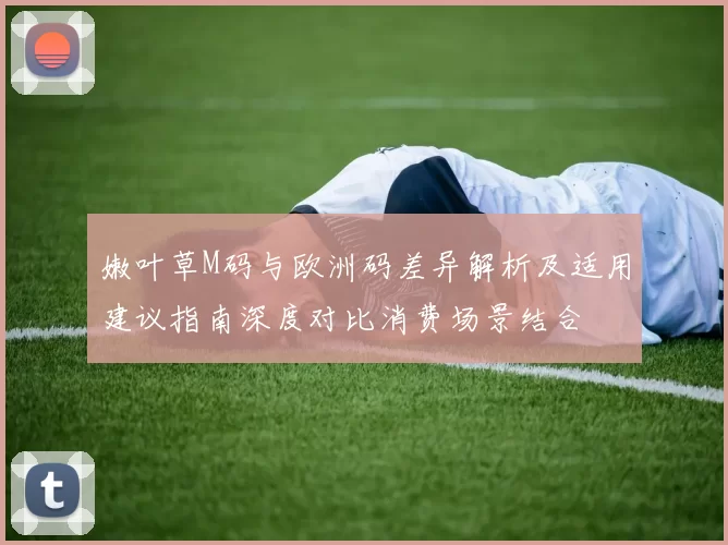 嫩叶草M码与欧洲码差异解析及适用建议指南深度对比消费场景结合