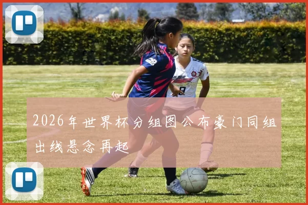 2026年世界杯分组图公布豪门同组出线悬念再起