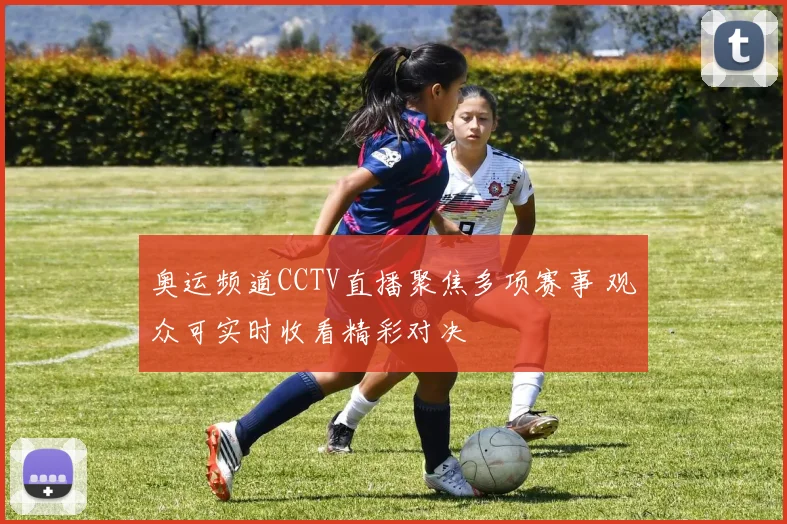 奥运频道CCTV直播聚焦多项赛事 观众可实时收看精彩对决