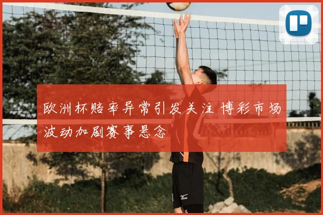 欧洲杯赔率异常引发关注 博彩市场波动加剧赛事悬念